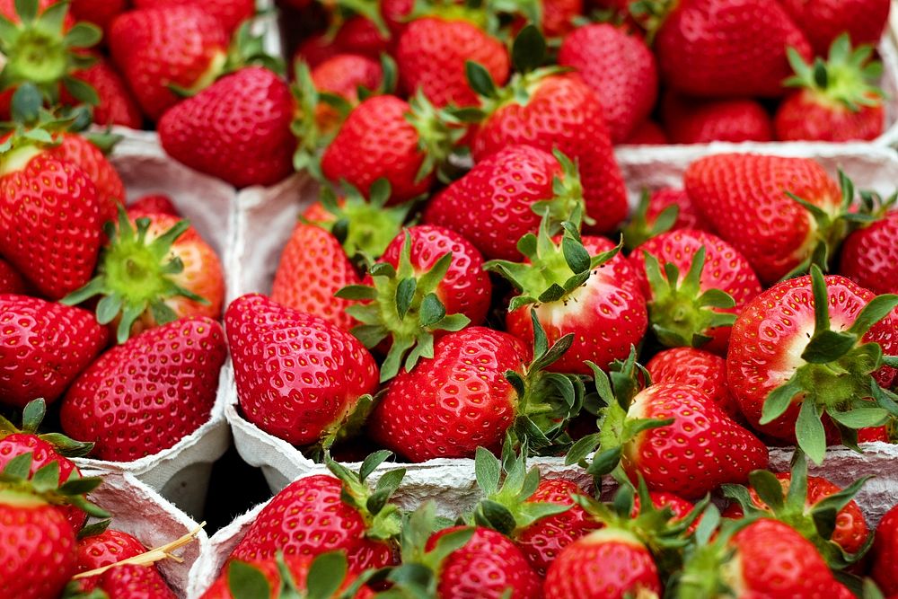 Free strawberries public domain fruit CC0 photo.