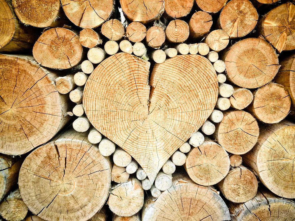 Free heart shaped wooden logs image, public domain natural material CC0 photo.