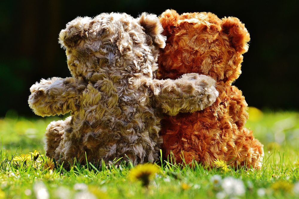 Free teddy bear dolls on grass image, public domain toy CC0 photo.