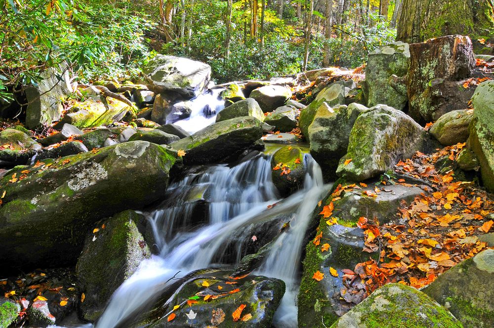 Free waterfall in the autumn forest image, public domain nature CC0 photo.