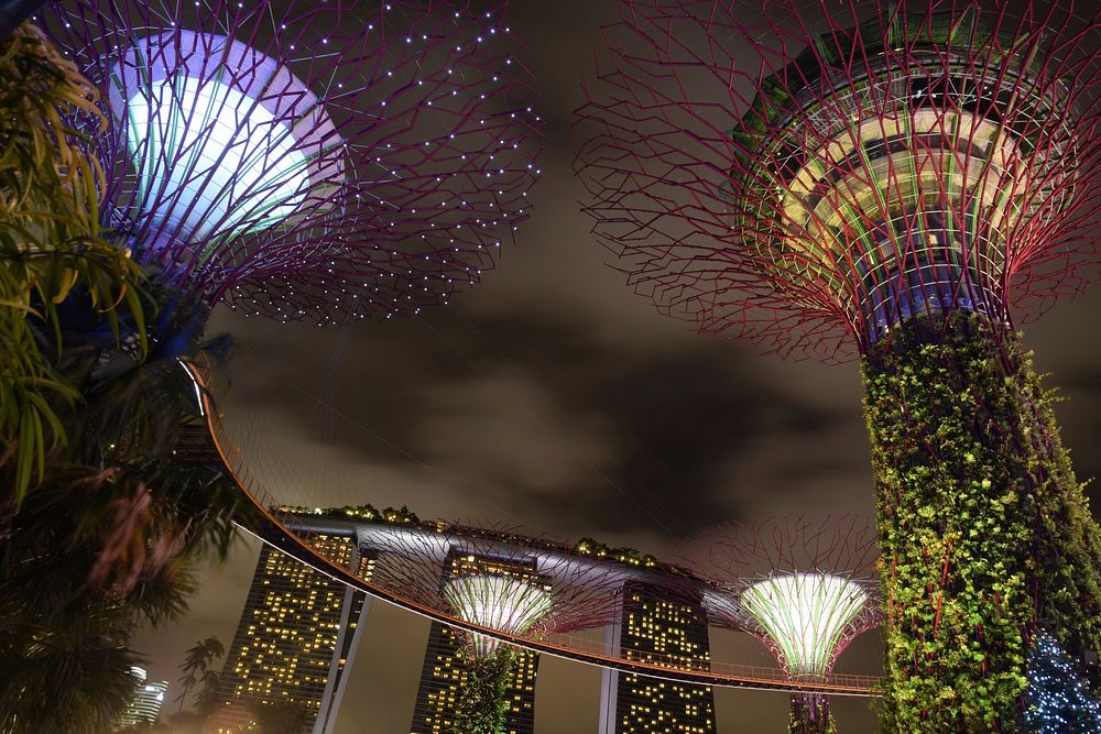 Free Singapore City at night photo, public domain travel CC0 image.