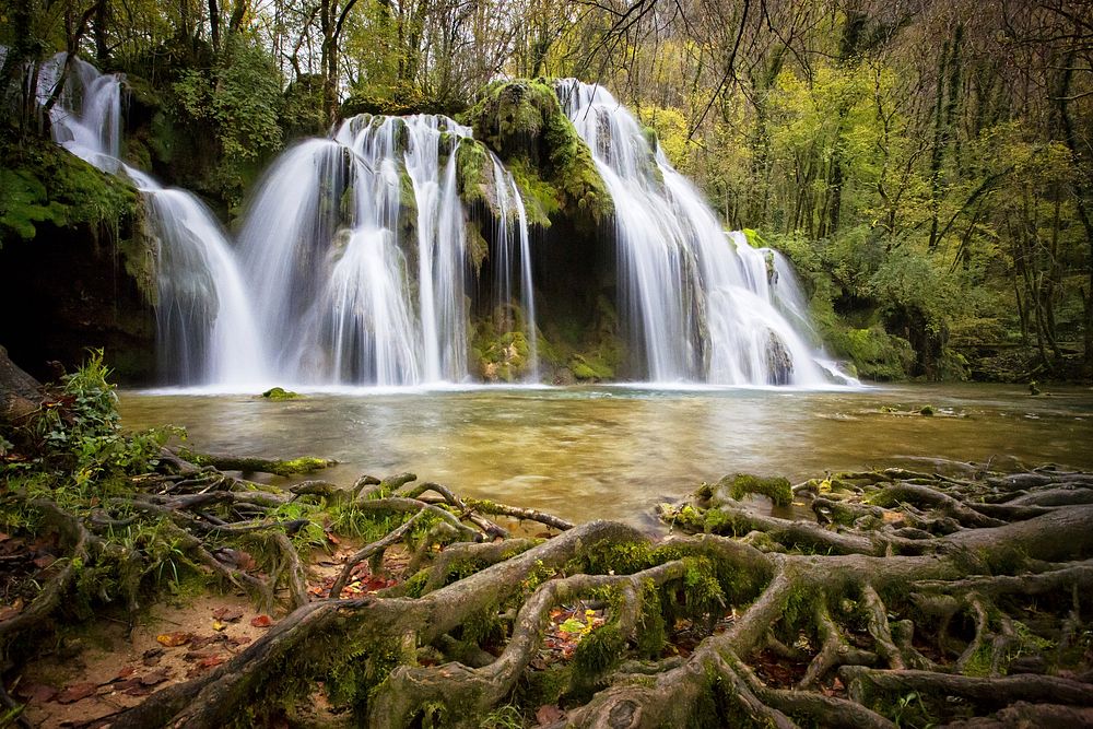Free green forest with waterfall photo, public domain nature CC0 image.