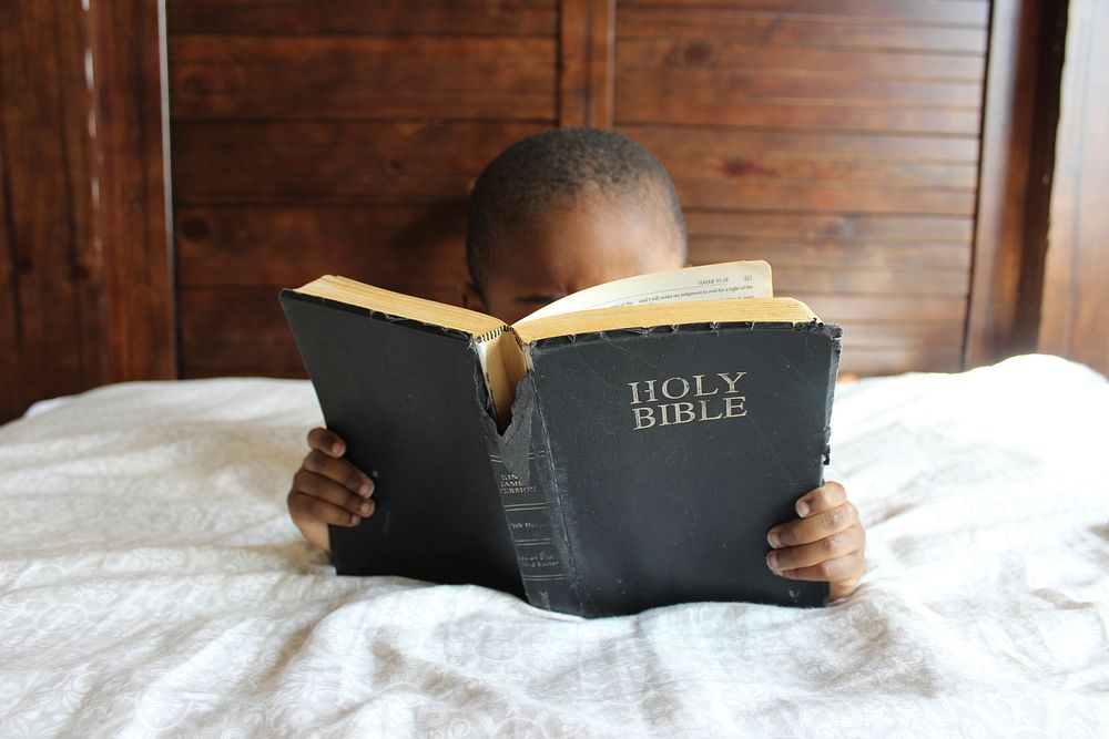 Free boy reading the Holy Bible on bed image, public domain CC0 photo.