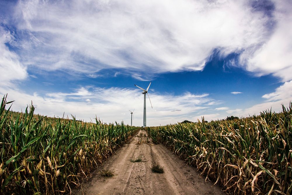 Free farm field image, public domain agriculture CC0 photo.