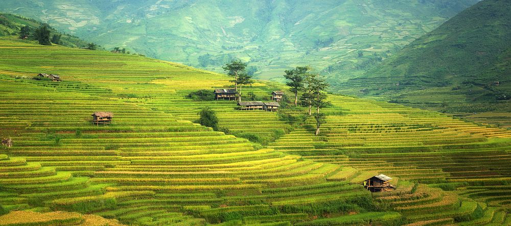 Agricultural scenery, green field landscape photo, free public domain CC0 image.