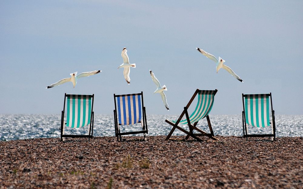 Free beach chairs & birds image, public domain travel CC0 photo.