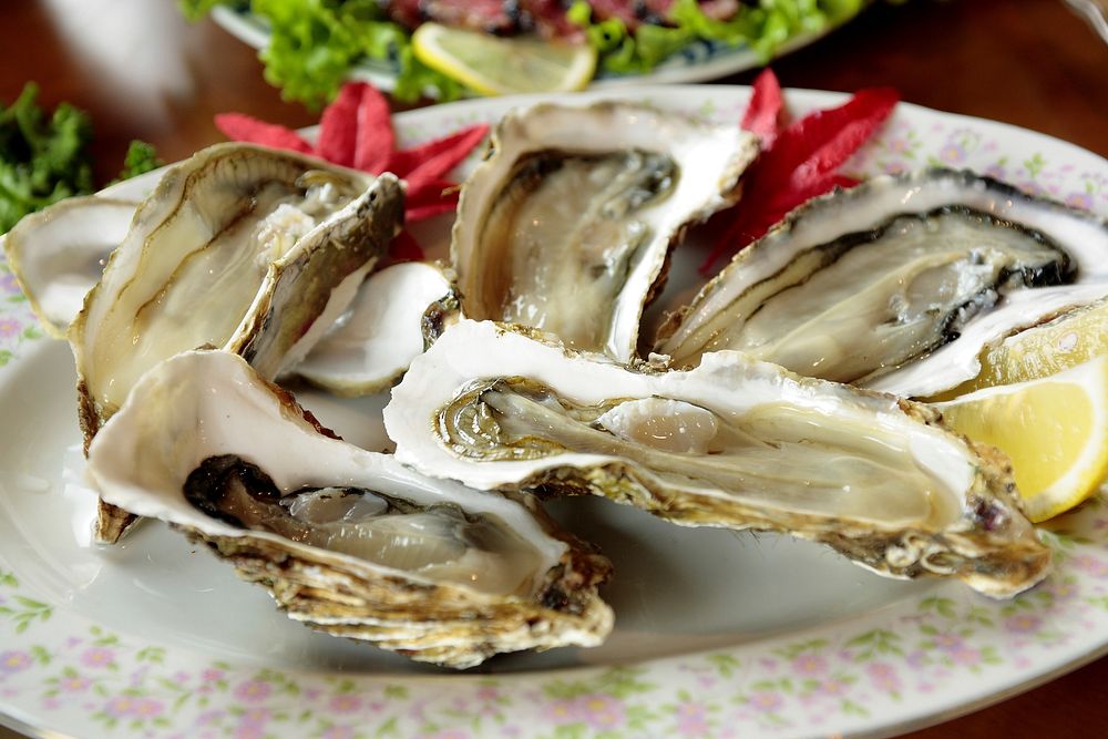 Free fresh oysters image, public domain food CC0 photo.