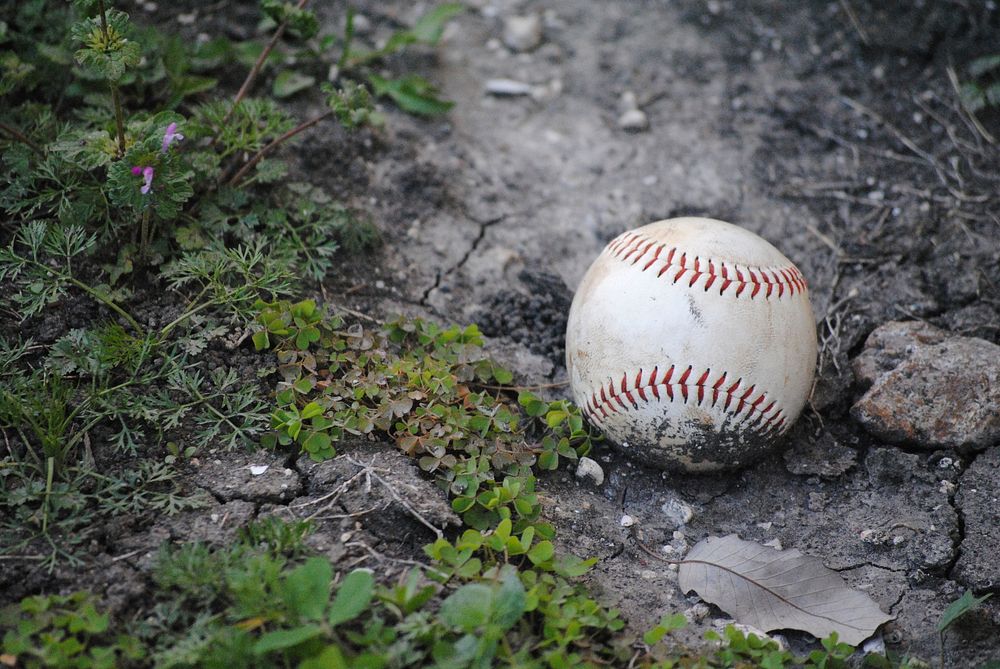Baseball ball. Free public domain CC0 photo.