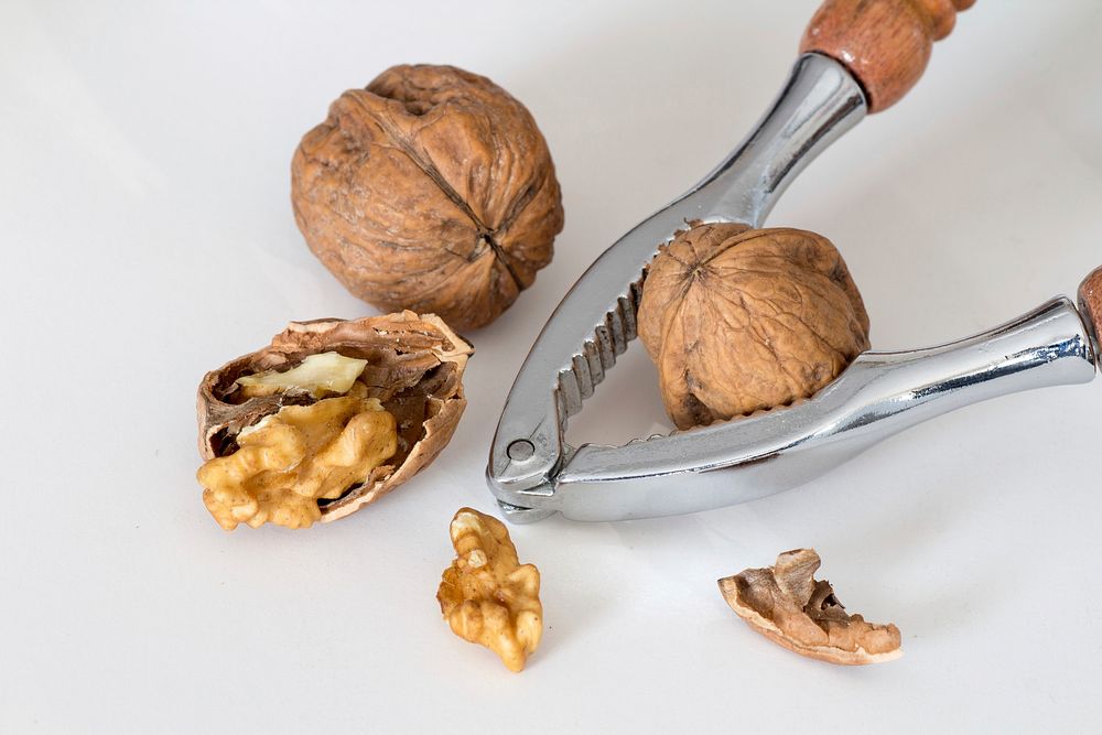 Free breaking walnut image, public domain vegetable CC0 photo.