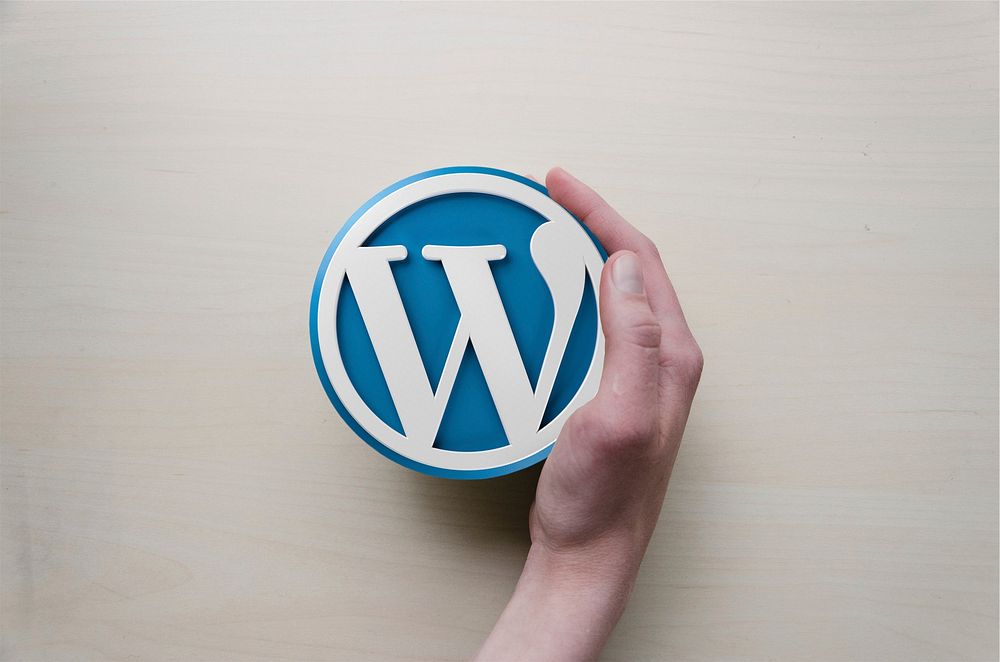 Wordpress logo, brand icon. Location unknown - 02/20/2017