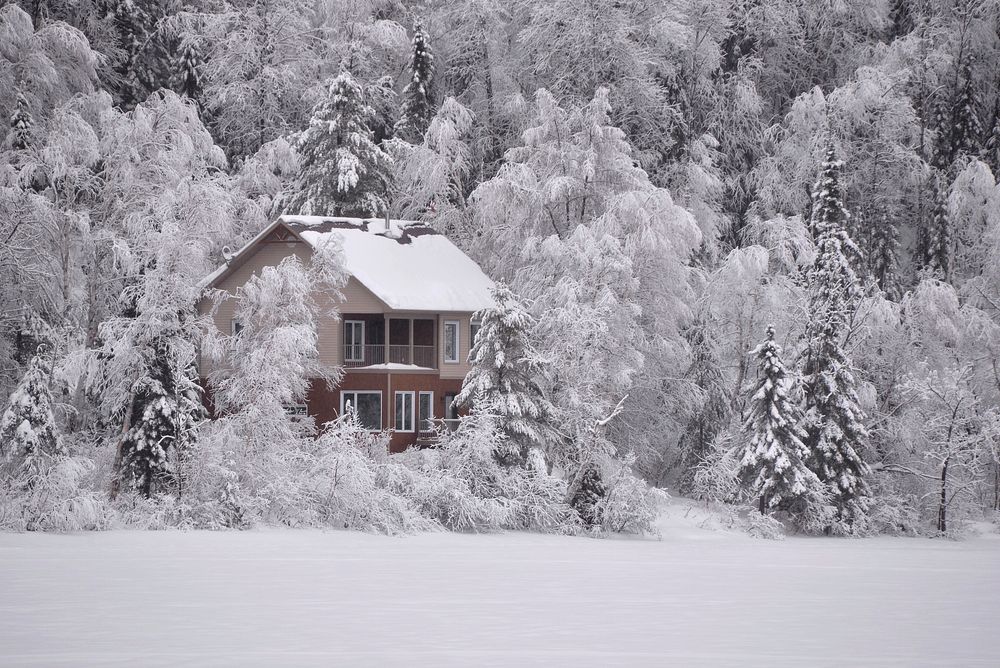 House in the woods covered with snow, free public domain CC0 photo
