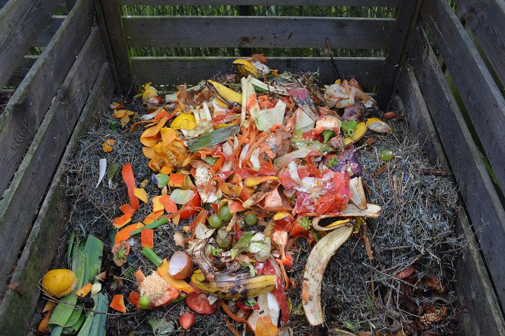 Free food waste composting image, public domain environmentally friendly CC0 photo.