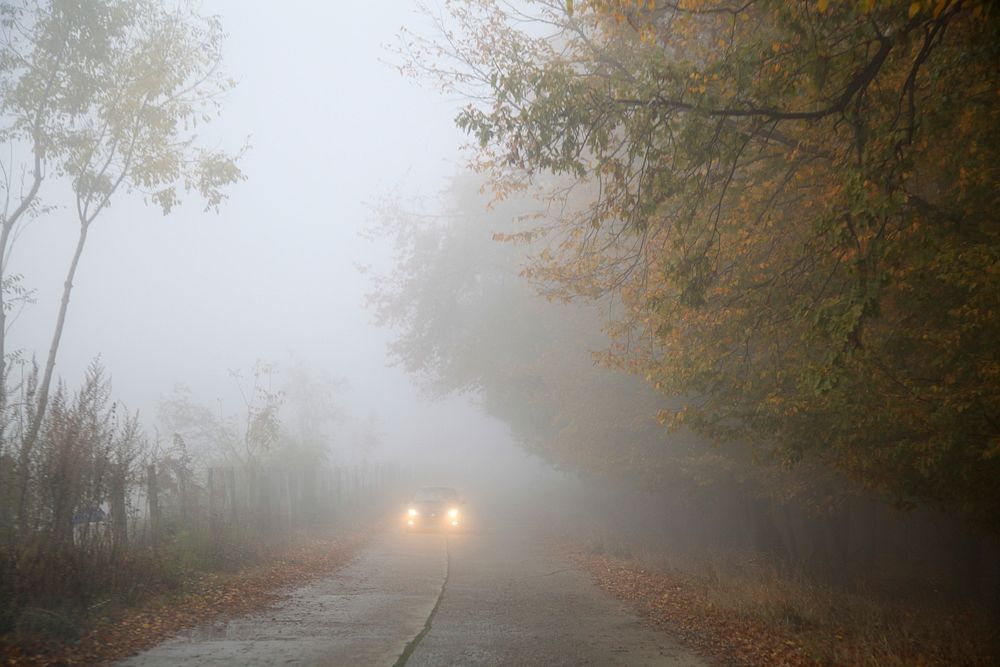Foggy, misty, hazy nature 