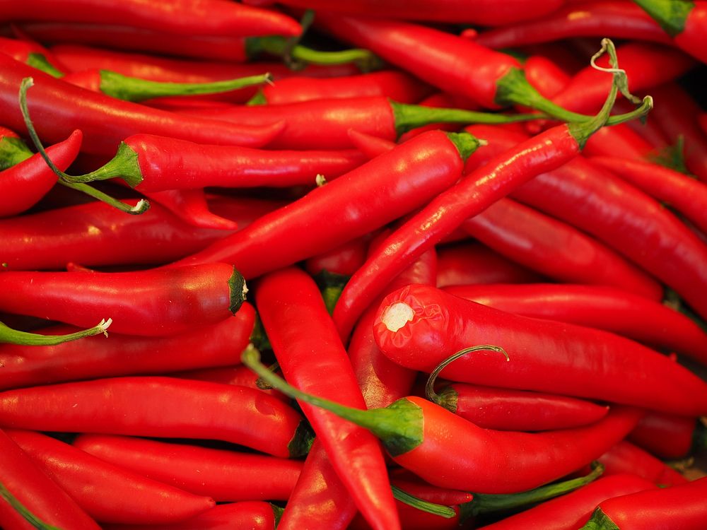 Free red chili pepper background photo, public domain vegetable CC0 image.