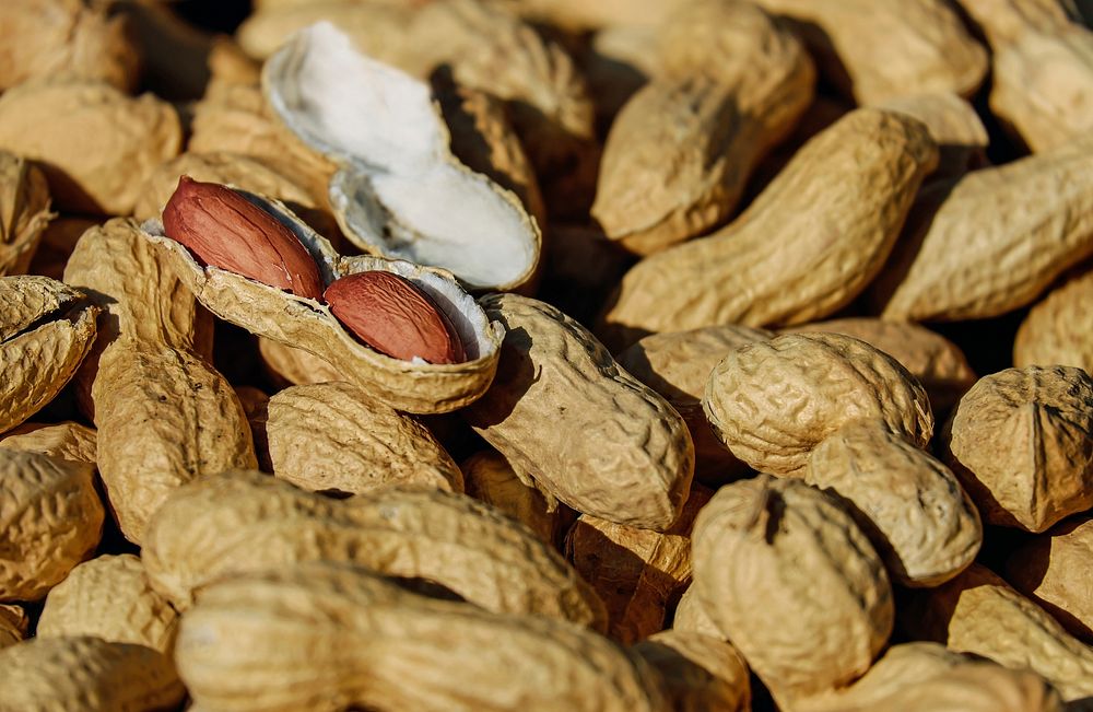 Free large pile of peanuts in shell image, public domain food CC0 photo.