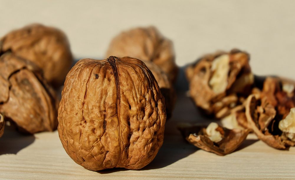 Free close up walnut image, public domain vegetable CC0 photo.