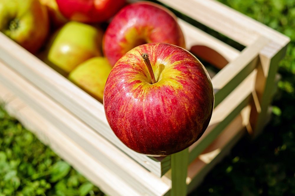 Freee red apple in crate image, public domain fruit CC0 photo.