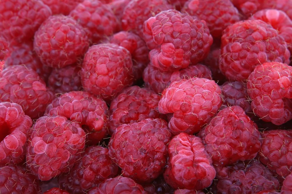 Free pile of raspberries background photo, public domain fruit CC0 image.