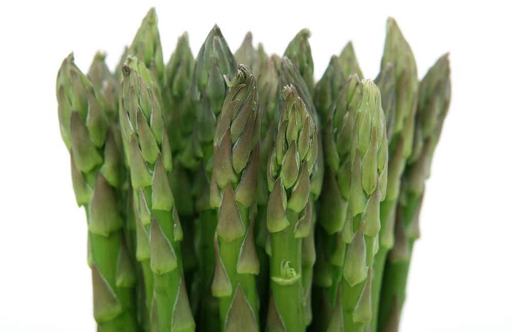 Free photo of fresh green asparagus, public domain CC0 image.
