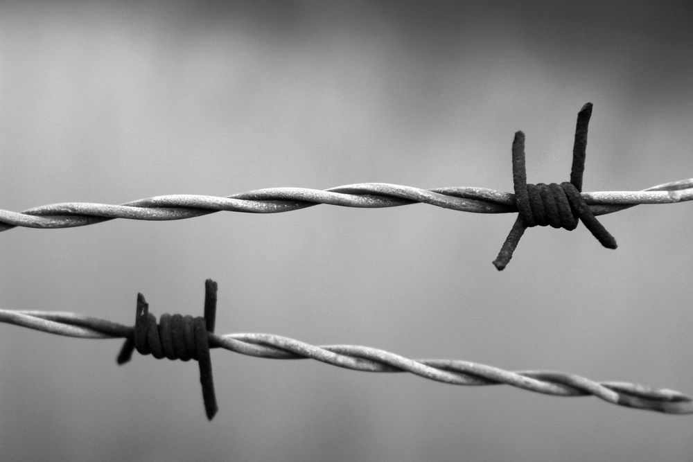 Free barbed wire silhouette image, public domain security CC0 photo.