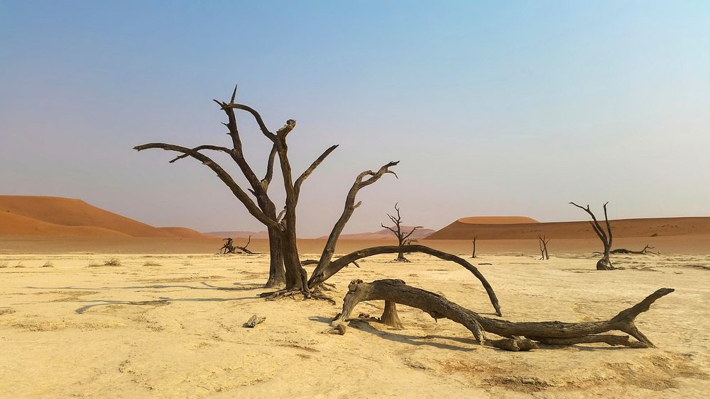 Free Sahara desert  image, public domain landscape CC0 photo.