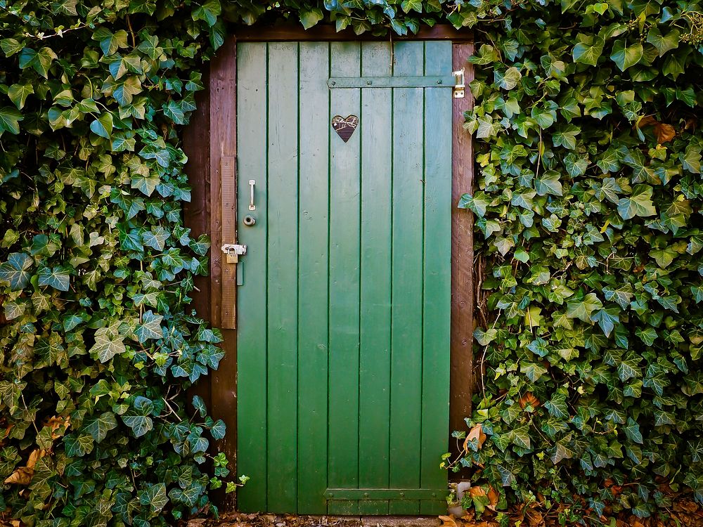 Green wooden door, free public domain CC0 photo