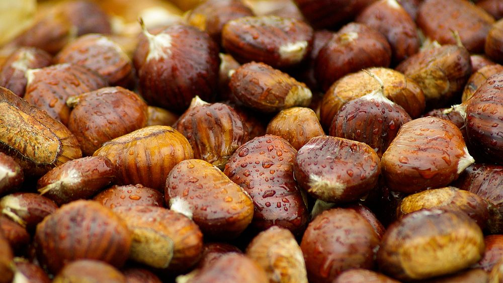 Free chestnuts with water drops close up photo, public domain food CC0 image.