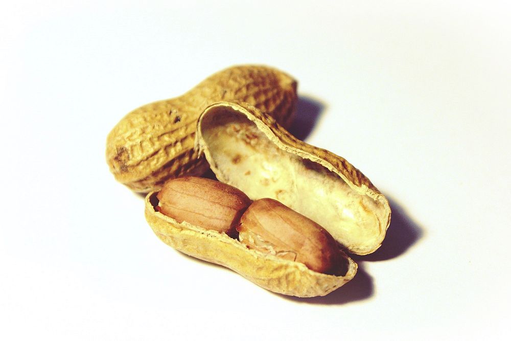 Free close up peanut in white background image, public domain vegetable CC0 photo.