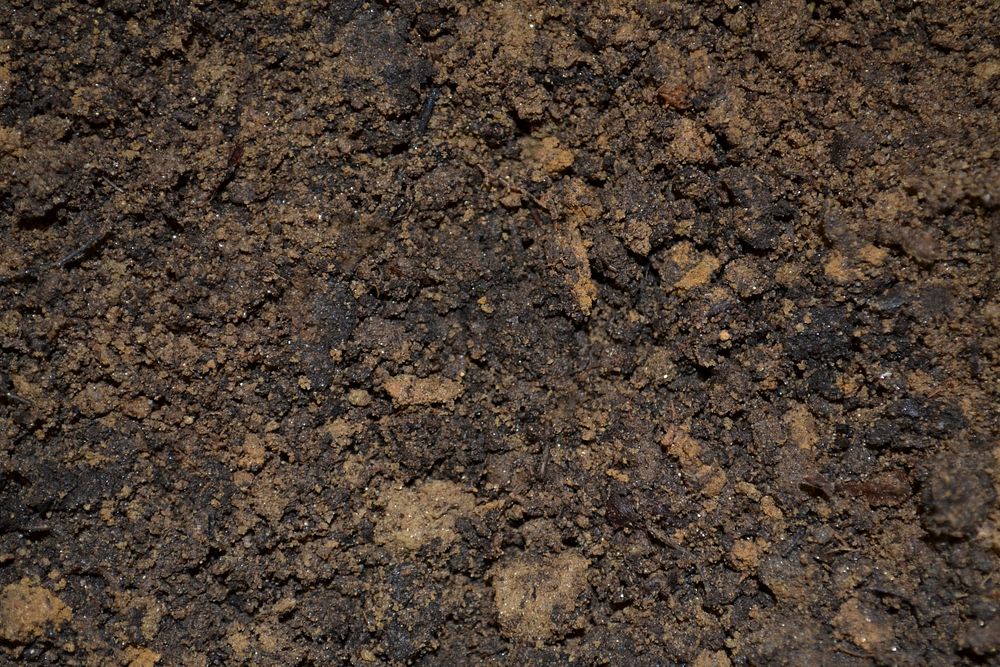 Free soil image, public domain ground CC0 photo.