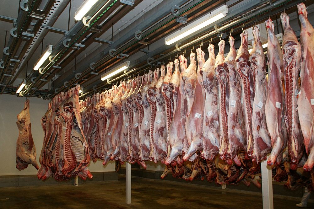 Free butcher factory image, public domain food industry CC0 photo.
