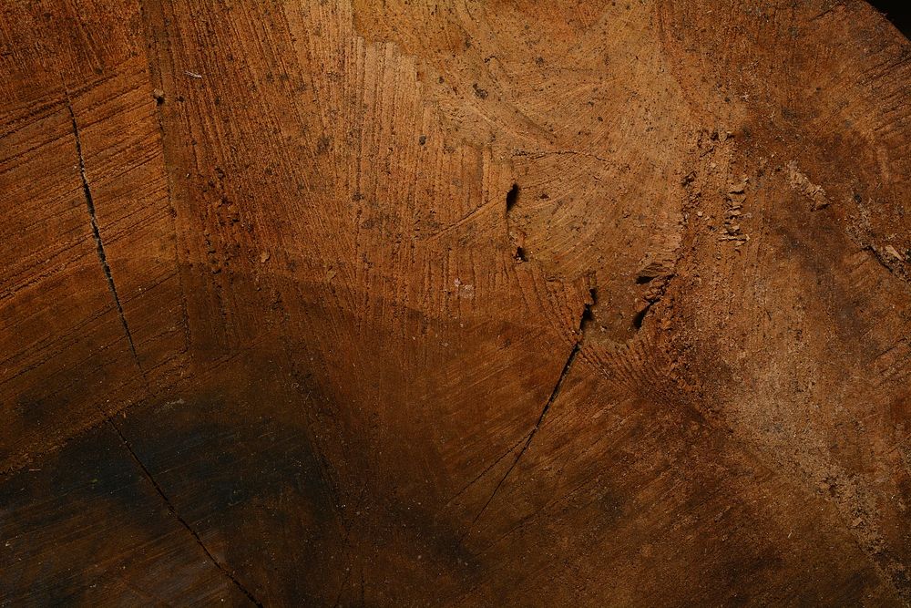 Free wood texture photo, public domain abstract CC0 image.