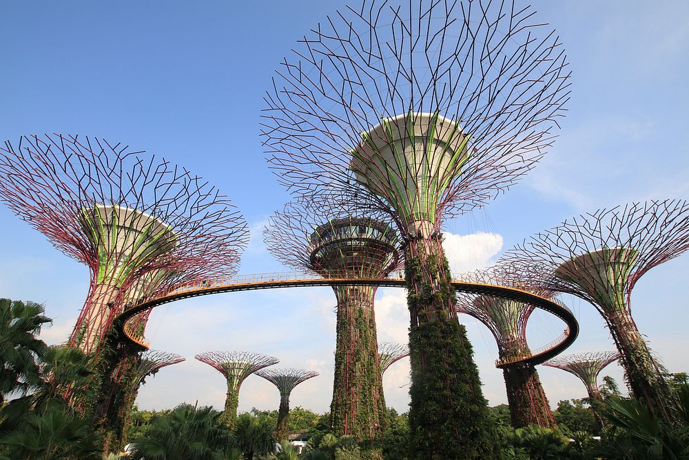 Free gardens by the bay image, public domain travel CC0 photo.