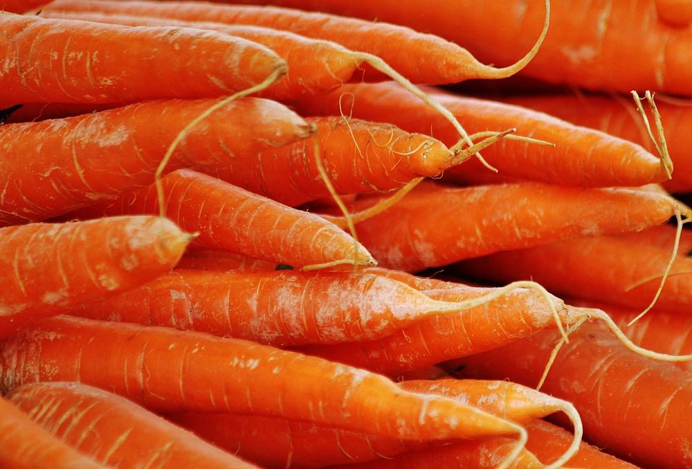 Free carrot image, public domain agriculture CC0 photo.