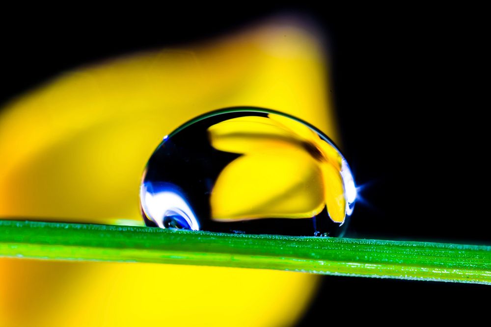 Water droplet on a blade of grass, free public domain CC0 photo