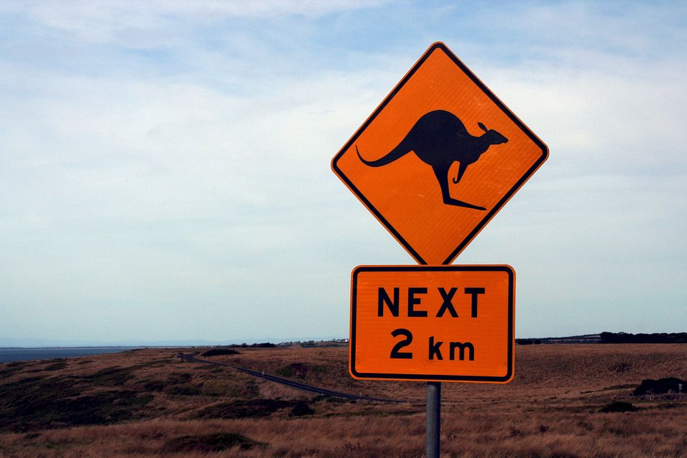 Free kangaroo road sign image, public domain CC0 photo.