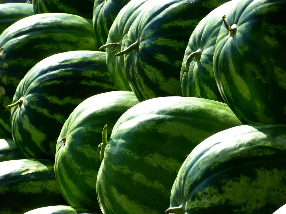 Free watermelon pile photo, public domain CC0 image.
