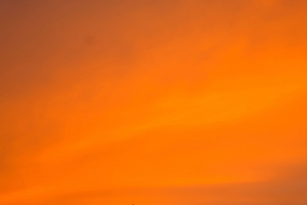 Orange abstract background, free public domain CC0 photo.