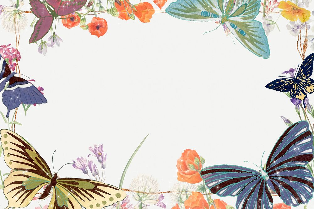 Butterfly frame background, colorful nature, vintage illustration