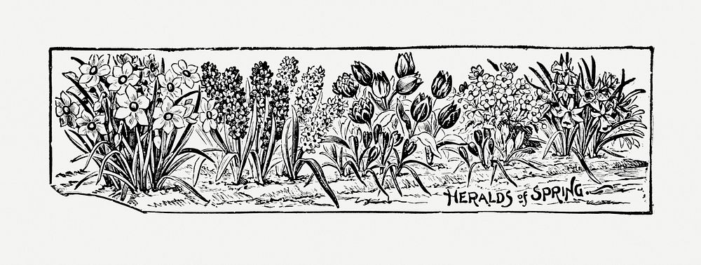 Vintage flower hand drawn illustration. Digitally enhanced from our own original copy of The Open Door to Independence…