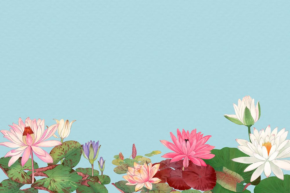 Lotus flower border background, blank space, vintage Japanese art vector