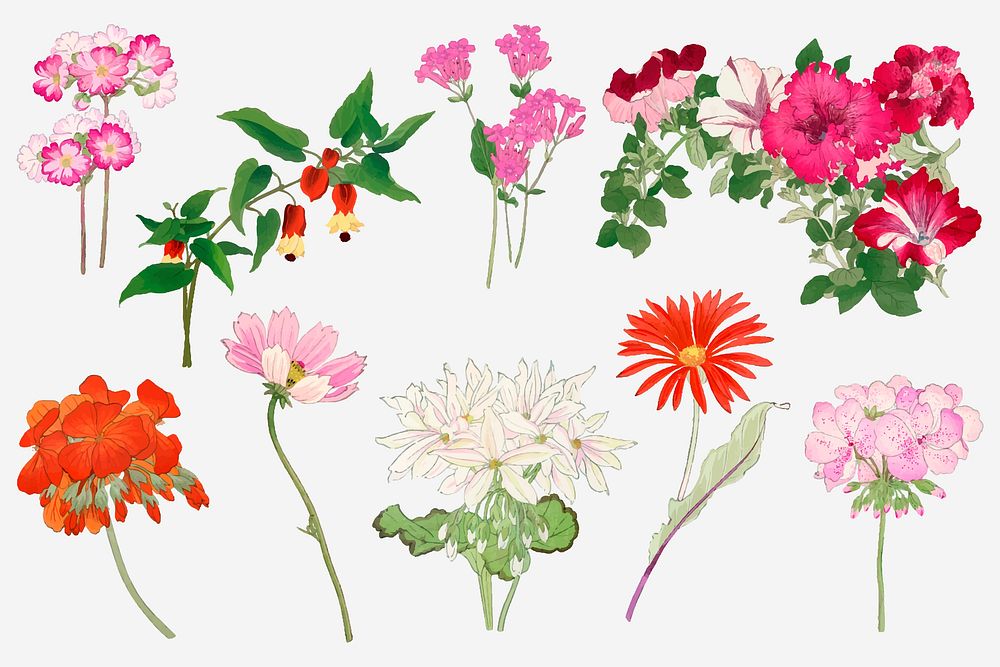 Wildflower collage element, floral Japanese woodblock art vector set