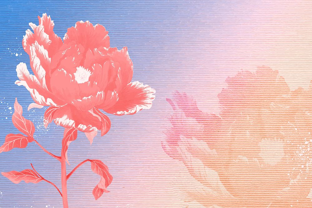 Japanese peony background, vintage aesthetic botanical graphic vector