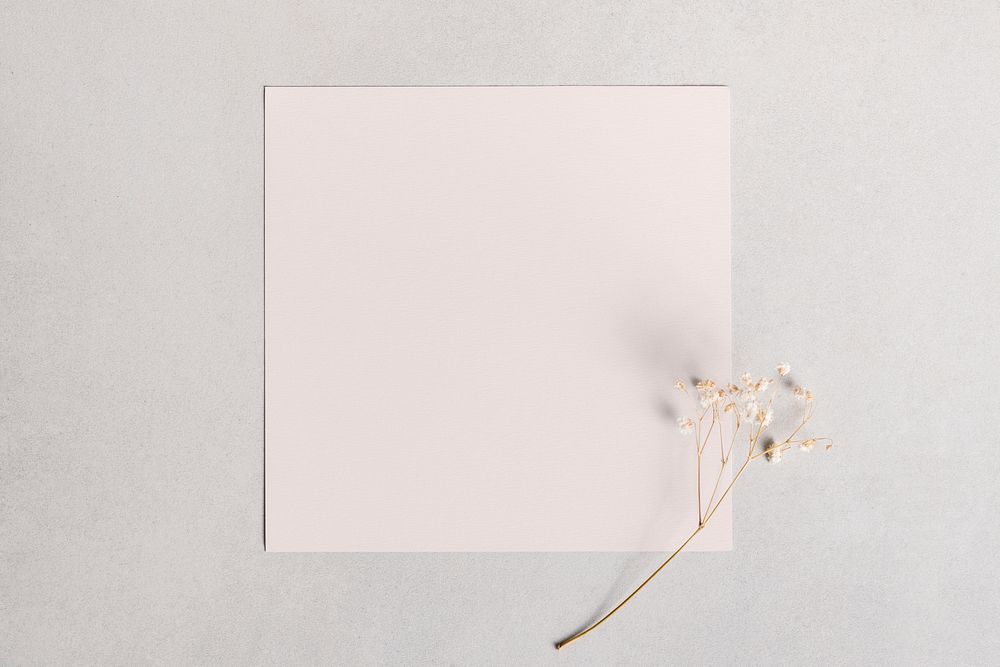 Blank pink paper flat lay with flower