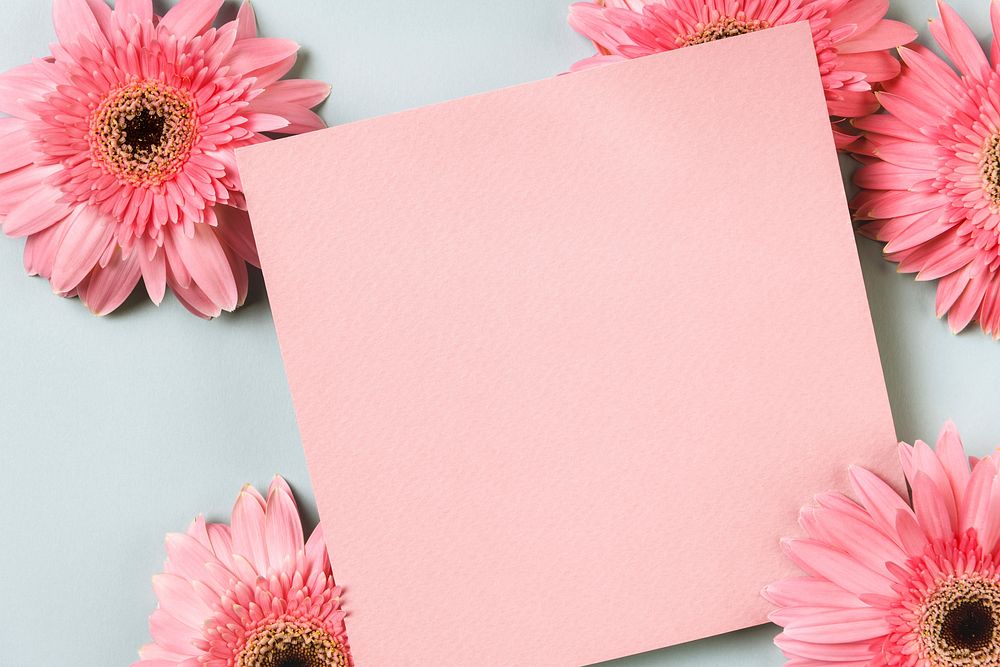 Blank pink card, daisies flat lay design