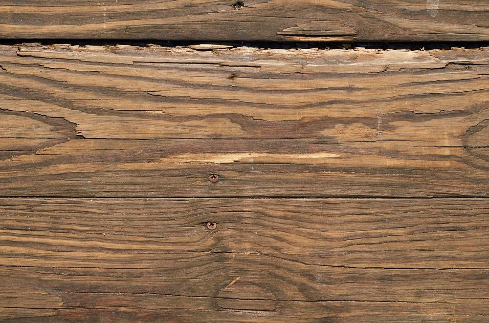Free wooden plank image, public domain nature CC0 photo.