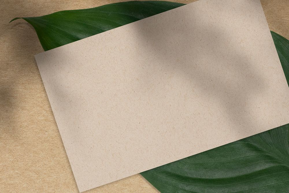 Blank name card and green leaf