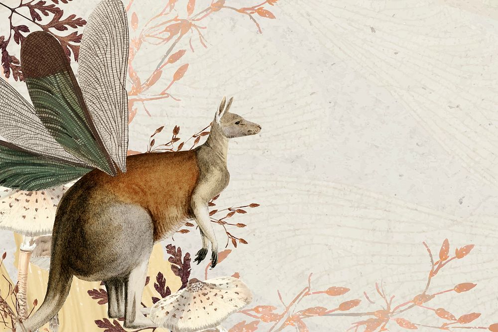Kangaroo illustration border, animal collage scrapbook mixed media artwork vector