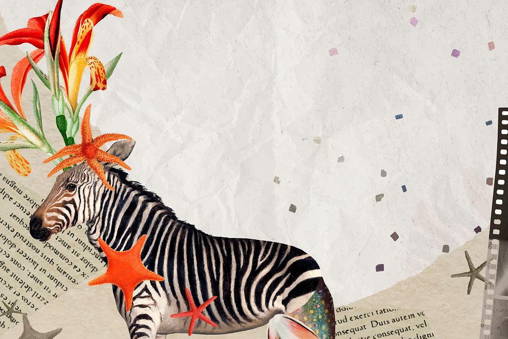 Zebra illustration, animal collage scrapbook mixed media artwork vector