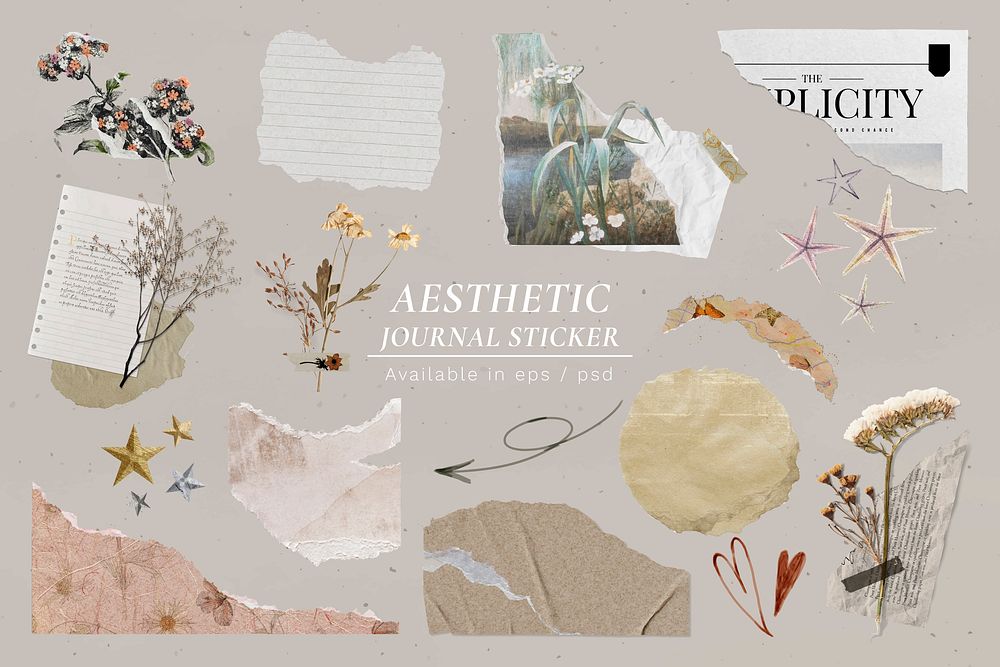 Aesthetic journal sticker, dried flower and ripped paper collage art set vector