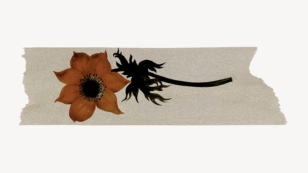 Vintage washi tape clipart, floral collage element vector